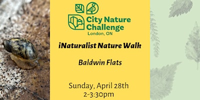 Hauptbild für iNaturalist Nature Walk