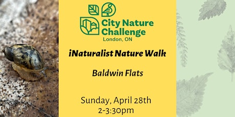 iNaturalist Nature Walk