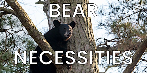 Imagem principal do evento Bear Necessities