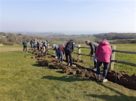 The Bale House- Conservation Volunteers- Hedgerow Planting primary image