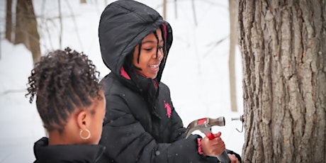 Maple Syruping With Three Rivers