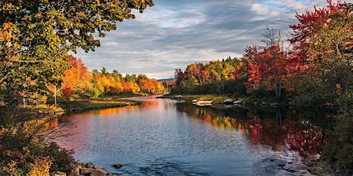 Immagine principale di Waterfowl  and Foliage Public Paddle - 2024- Sultana Education Foundation 