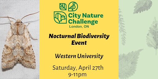 Imagen principal de Nocturnal Biodiversity Event