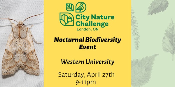 Nocturnal Biodiversity Event