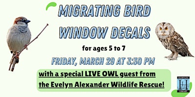 Immagine principale di Migrating Bird Window Decals with LIVE OWL GUEST! 