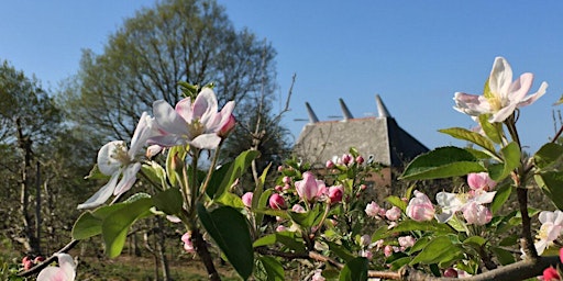 Hauptbild für Walk Tonbridge Club: 'Orchards and Riversong' (May 2024)