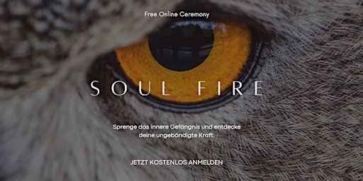 Hauptbild für SOUL FIRE