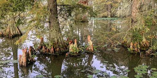 Hauptbild für Bald Cypress Public Paddle - 2024 - Sultana Education Foundation