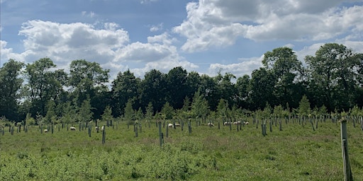 Hauptbild für Hope Farm Agroforestry Tour