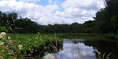 Lower Nanticoke Paddle - 2024 - Sultana Education Foundation primary image