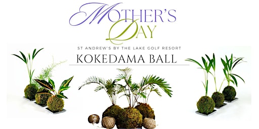 **Canceled**Mothers Day Kokedama   Making on the Patio! primary image