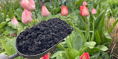 Primaire afbeelding van Composting and soil improvement