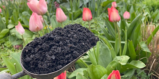Imagen principal de Composting and soil improvement