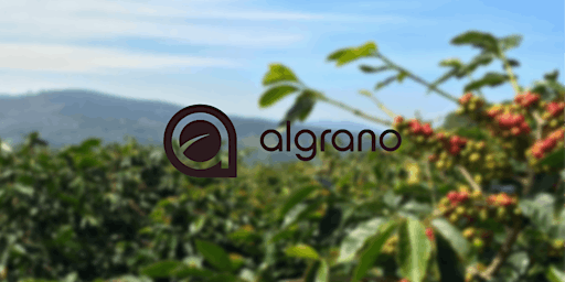 Algrano Cupping primary image