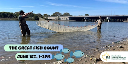 Imagem principal do evento The Great Fish Count: Seining in Jamaica Bay!