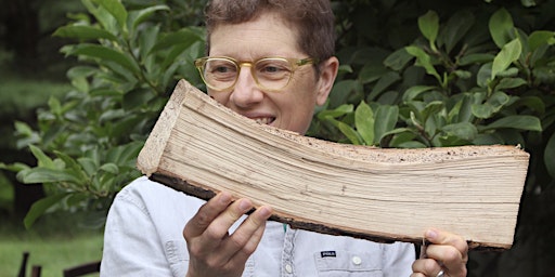 Hauptbild für To Understand A Tree - A Conversation with Artist Gina Siepel and Dr. Mann