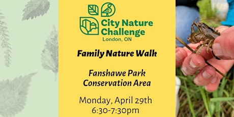 Family Nature Walk