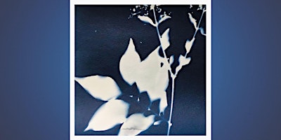 Cyanotype & Photograms w/ Gloria Gelo primary image