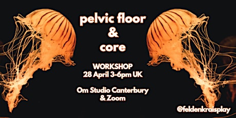 Pelvic Floor & Core