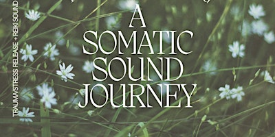 Imagem principal de Somatic Sound Journey