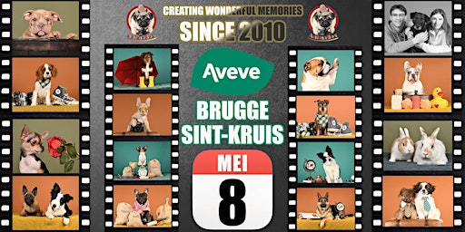 Imagem principal do evento AVEVE BRUGGE SINT-KRUIS FOTOSHOOT !