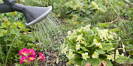 Hauptbild für Gardening with less water