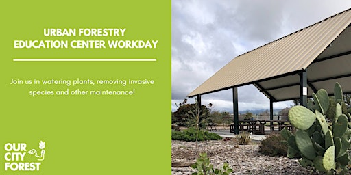 Immagine principale di Urban Forestry Education Center Workday 
