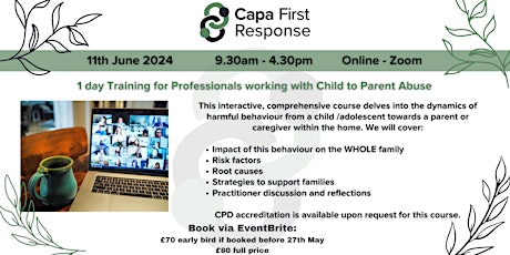 Child to parent abuse - Strategies for working with families