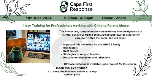 Hauptbild für Child to parent abuse - Strategies for working with families