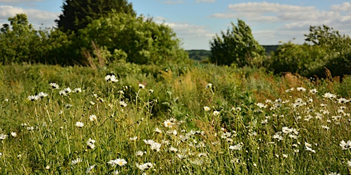 Hauptbild für Creating the sustainable garden