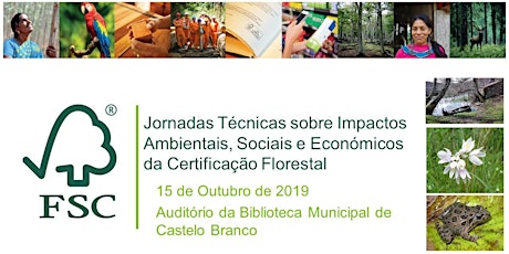 Imagem principal de Impactos Ambientais, Sociais e Económicos da Certificação Florestal