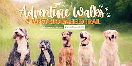 Adventure Walks with Canine To Five