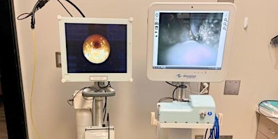 Imagem principal do evento Introduction to Endoscopic Vision in Periodontal Therapy. Hands-On Experience - 3 CEU's