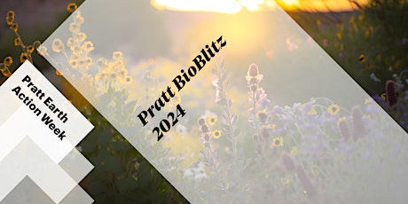 Pratt BioBlitz 2024