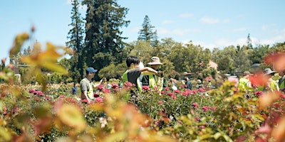 Imagem principal do evento Municiple Rose Garden: Mother's Day Event