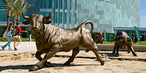 USF Office of International Admissions – Virtual Campus Tour primary image