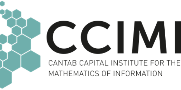 CCIMI Colloquium: Mark Girolami - The Statistical Finite Element Method