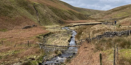 Art Hike 61: Pendle Hill Circular