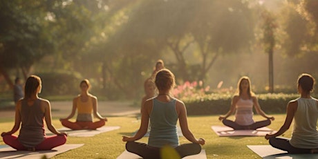 Yoga in the Park