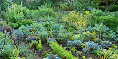 Hauptbild für A Tour of the Garden and Gallery at Oak Spring Garden - Day 2