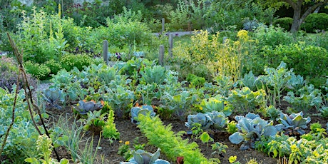 A Tour of the Garden and Gallery at Oak Spring Garden - Day 2