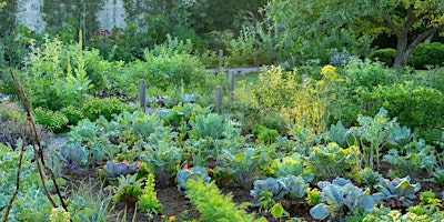 Hauptbild für A Tour of the Garden and Gallery at Oak Spring Garden - Day 1