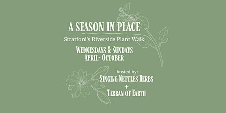 A Season in Place: Stratford's Riverside Plant Walk primary image