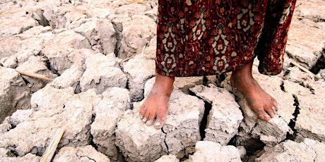 Climate Change and Displacement in the MENA primary image