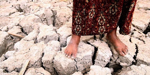 Hauptbild für Climate Change and Displacement in the MENA
