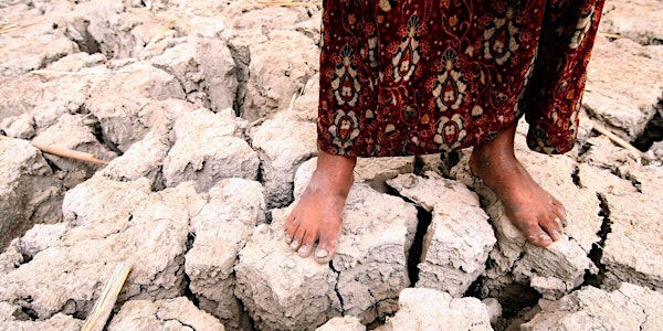 Climate Change and Displacement in the MENA