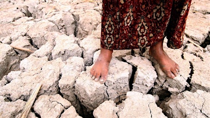 Livestream—Climate Change and Displacement in the MENA primary image