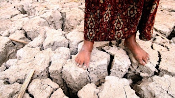 Imagem principal de Livestream—Climate Change and Displacement in the MENA
