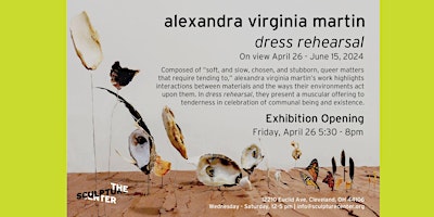 Imagen principal de Dual Exhibition Openings for alexandra virginia martin and Rachel Linnemann