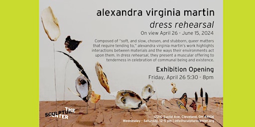 Dual Exhibition Openings for alexandra virginia martin and Rachel Linnemann primary image